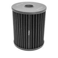 Proram Series Sportluftfilter passend für Audi RS6...